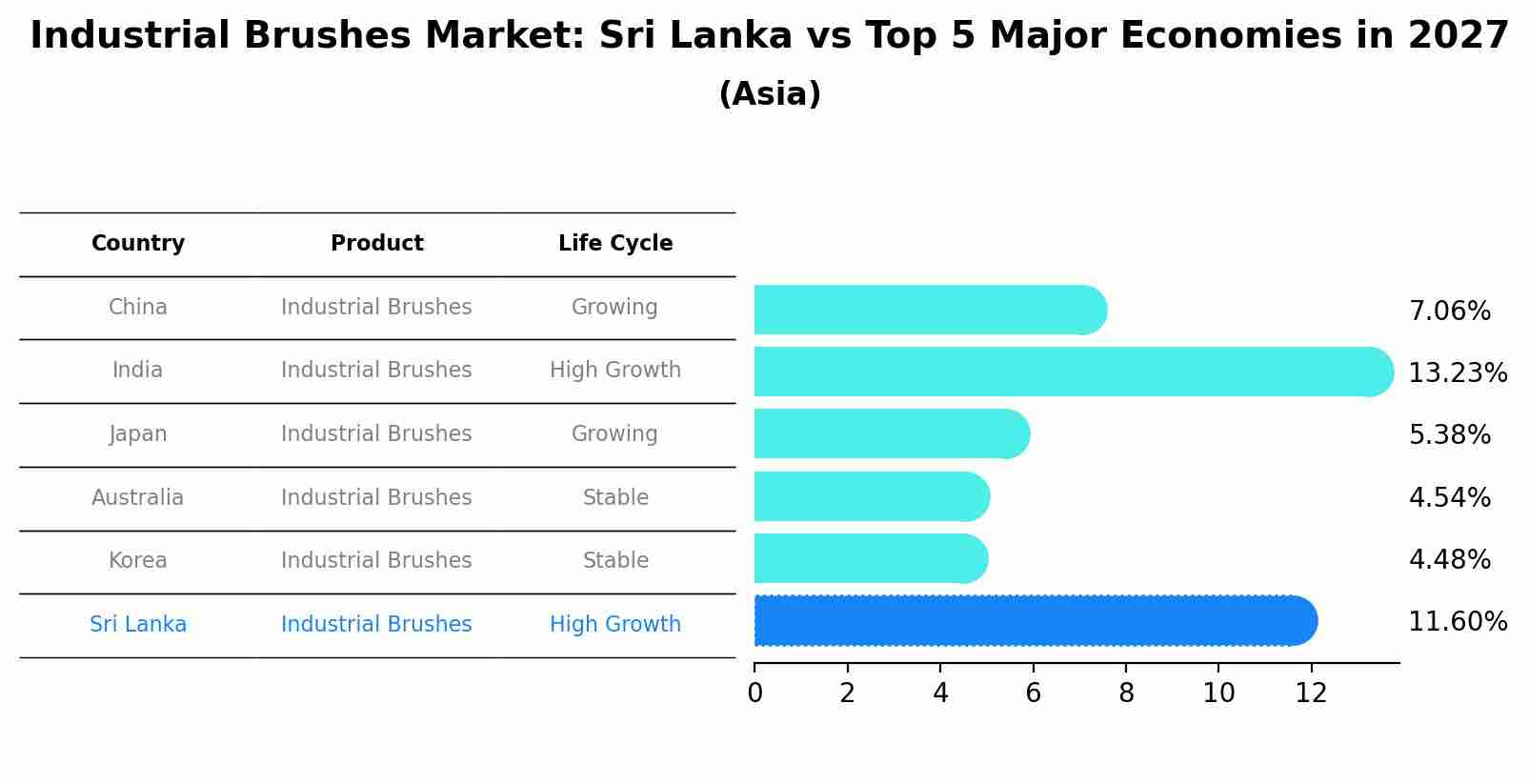 Industrial Brushes Market: Sri Lanka vs Top 5 Major Economies in 2027 (Asia)